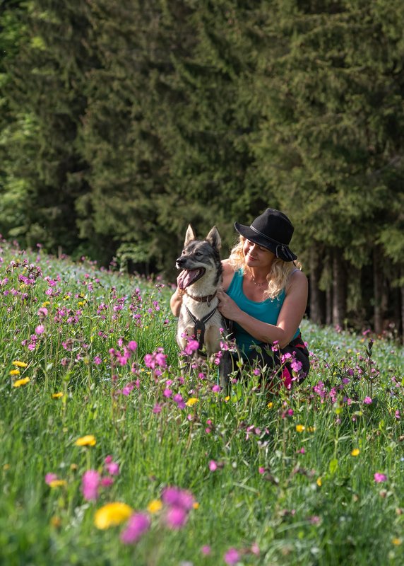 Photo d'une personne et de son chien dans une prairie